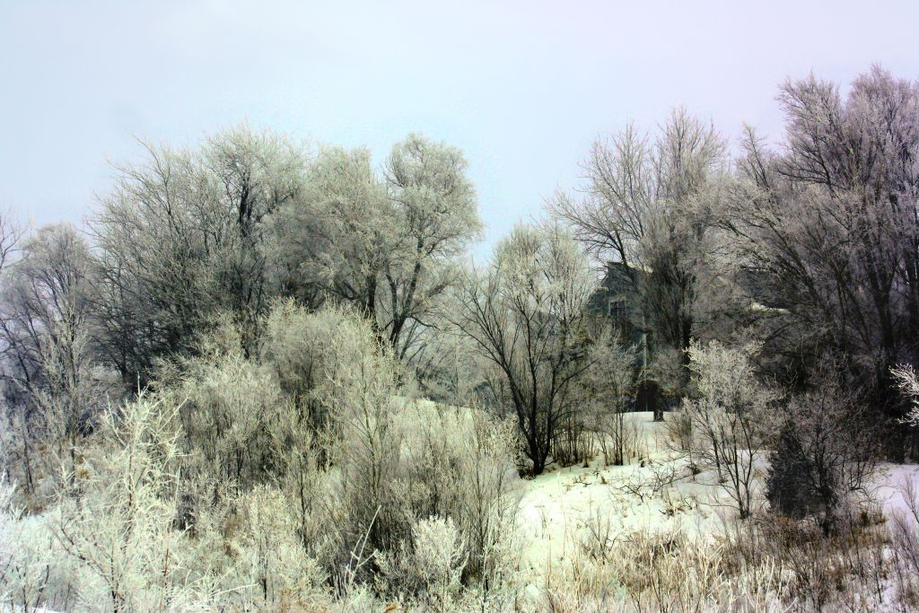 Winter’s Last Cry